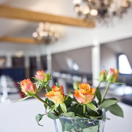 Gideon נירנברג